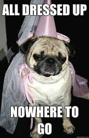 dressed-up-nowhere-to-go-pug-in-princess-costume dressed-up-nowhere-to-go-pug-in-princess-costume